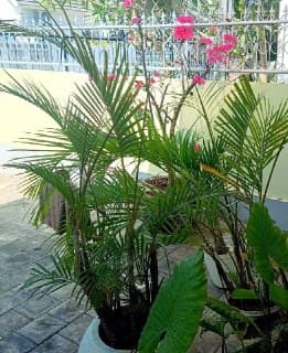 Аренда виллы — Nusa Dua, Бали, Индонезия, фото 10