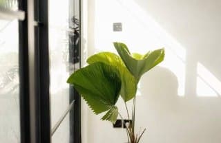 Аренда виллы — Бали, Индонезия, фото 6